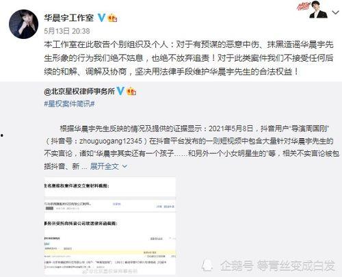 导演娱乐圈爆料的小说叫什么,揭开小说背后的秘密